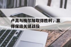 乐鱼APP-卢高与梅尔加取得胜利，赢得保级关键战役